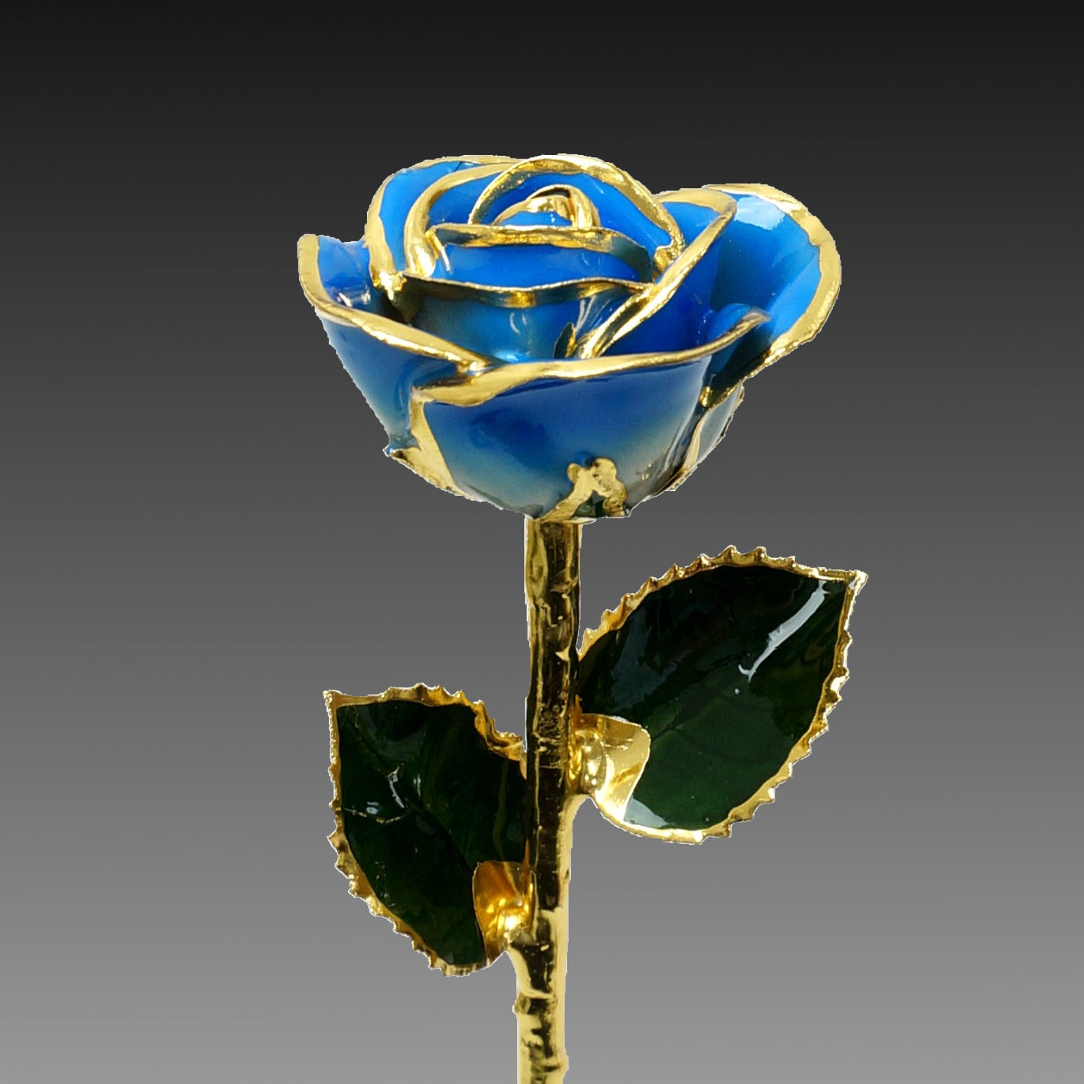 bba32d08ebbc4f906911c0aa69273c