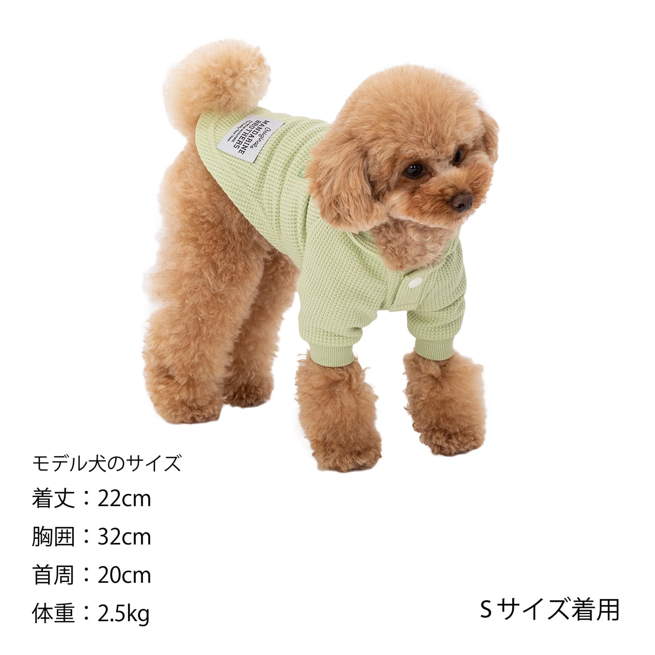 【イヌ】 マンダリンブラザーズ SKIN TIGHT SUIT スキン タイト スーツ