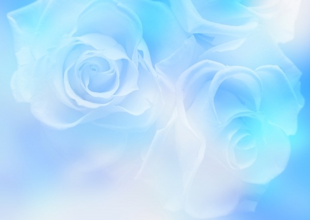 ライタリアン・ピューリフィケーションリング　レベル２