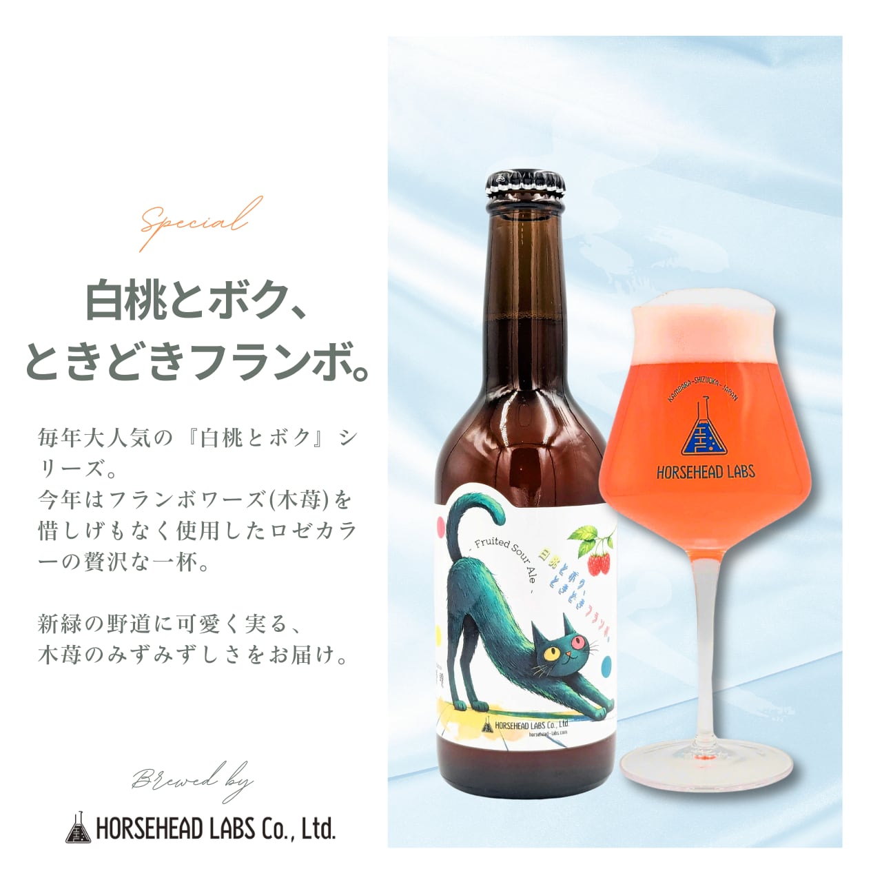 売切り1円スタート！大人気 日本酒6本セット 冷蔵庫保管品 | QUASAR