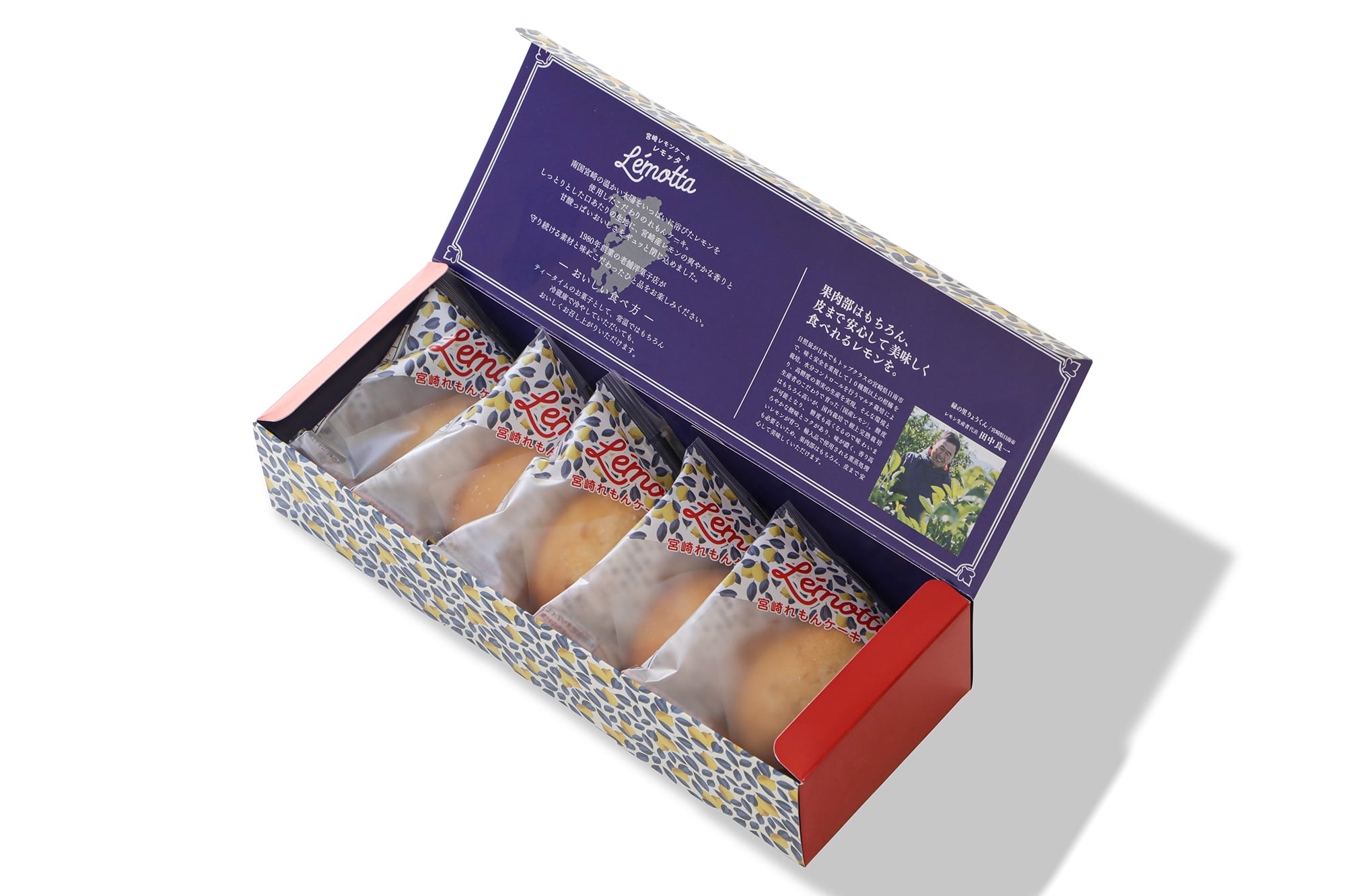 宮崎れもんケーキ レモッタ 【5個入り】 | 【公式】メレンダ・ア