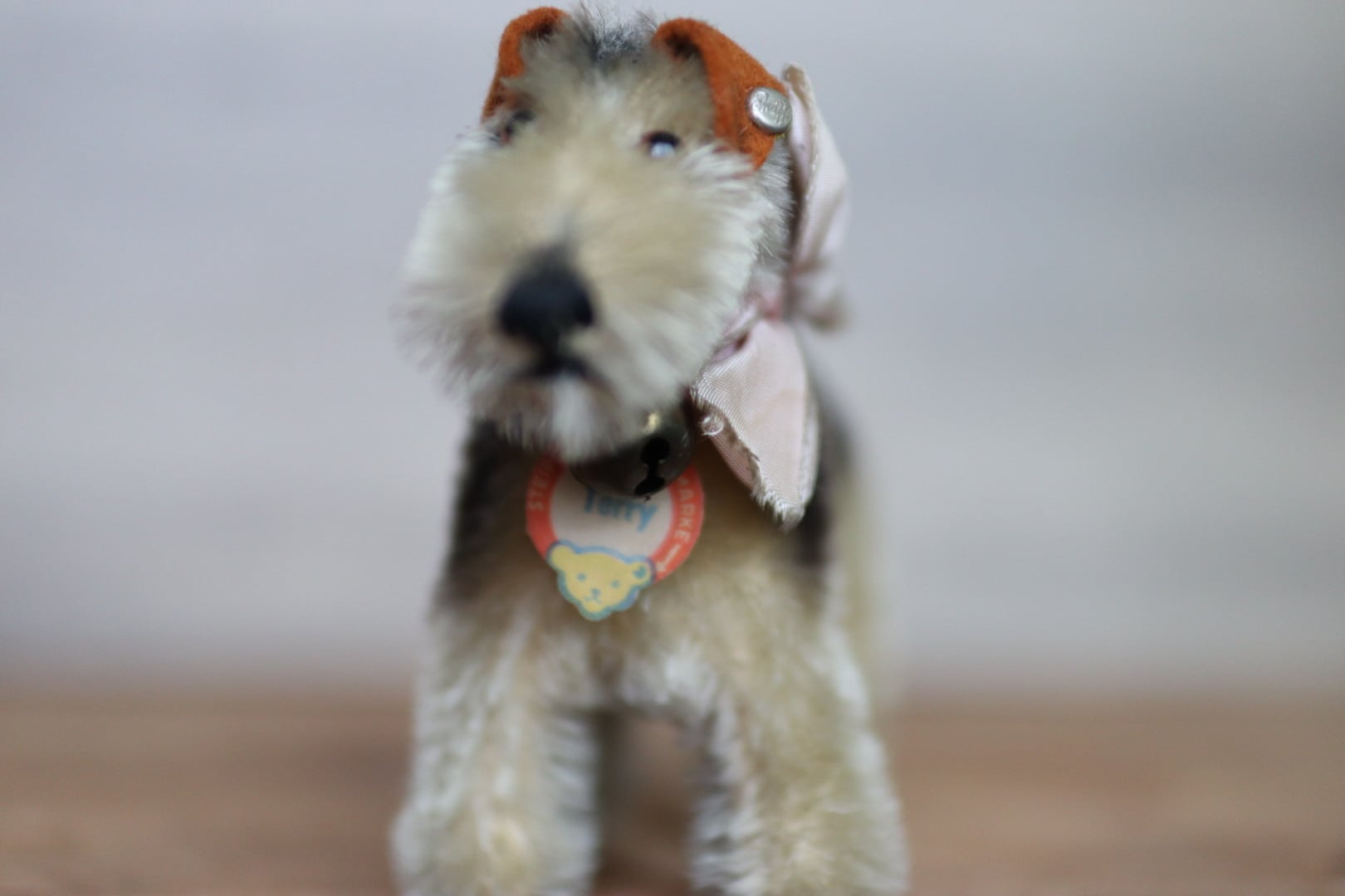 アンティーク シュタイフ 犬 エアデールテリア Terry