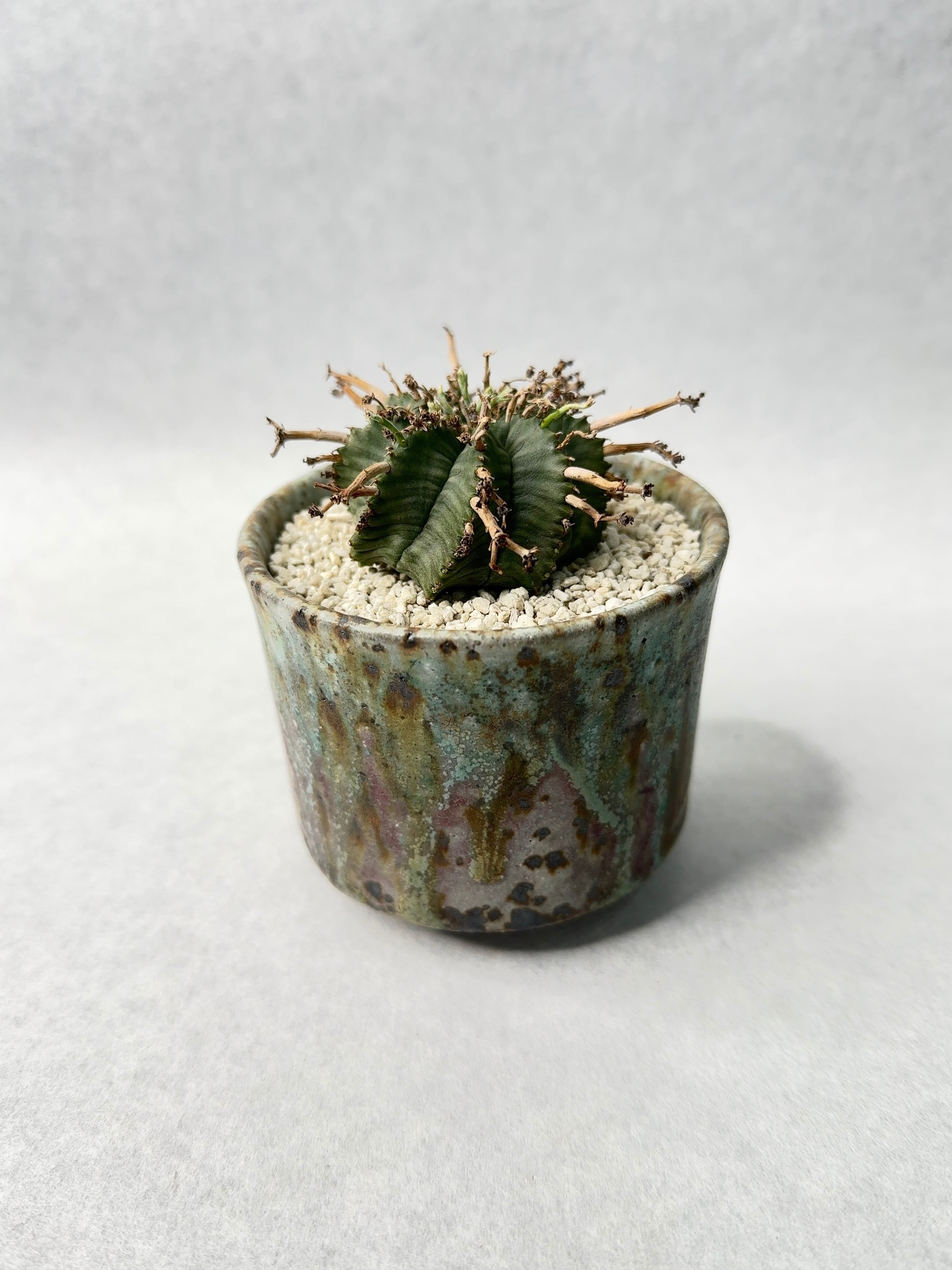 中川智治 | trigger