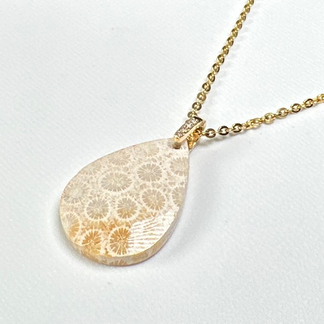 ◇フォシルコーラル◇　はちぴあ・はちばちSML