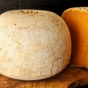 料理が変わる!削りたて粉チーズ | フランス産 グラスフェッド ミモレット 18ヶ月熟成 – 濃厚でリッチな味わい Elevate Every Bite! Grated French Grassfed Mimolette – 18-Month Aged Cheese Powder Deep Rich Flavor (150g)
