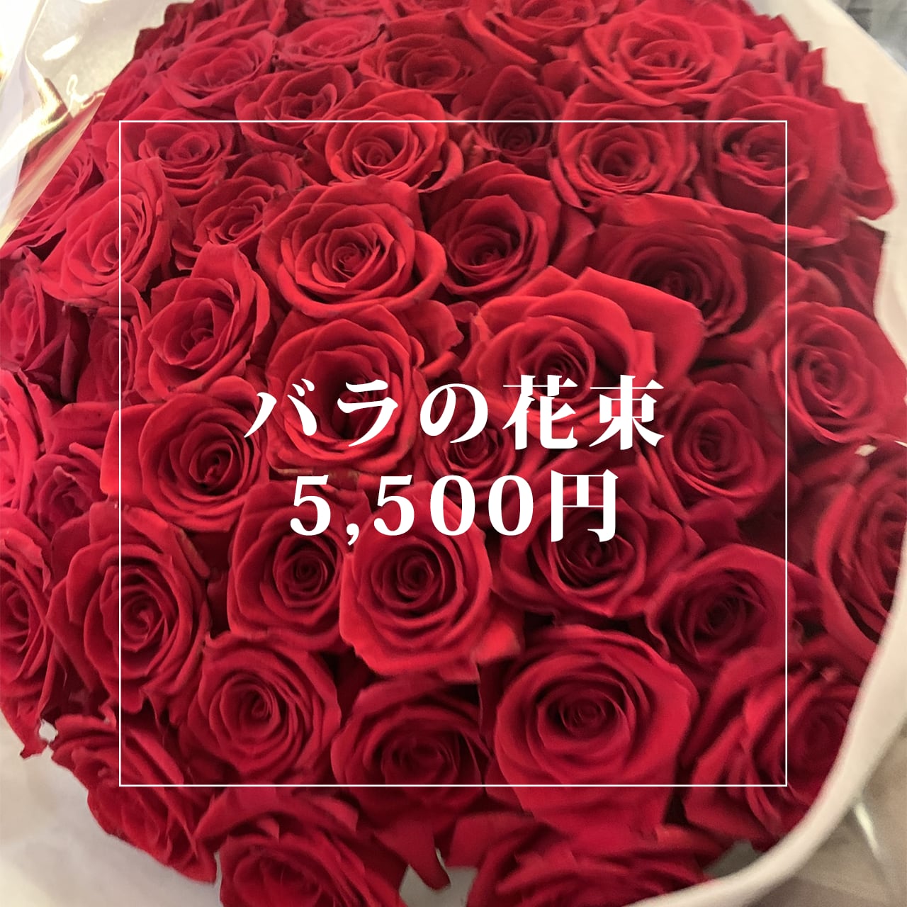 赤バラの花束（サイズ1）（057）