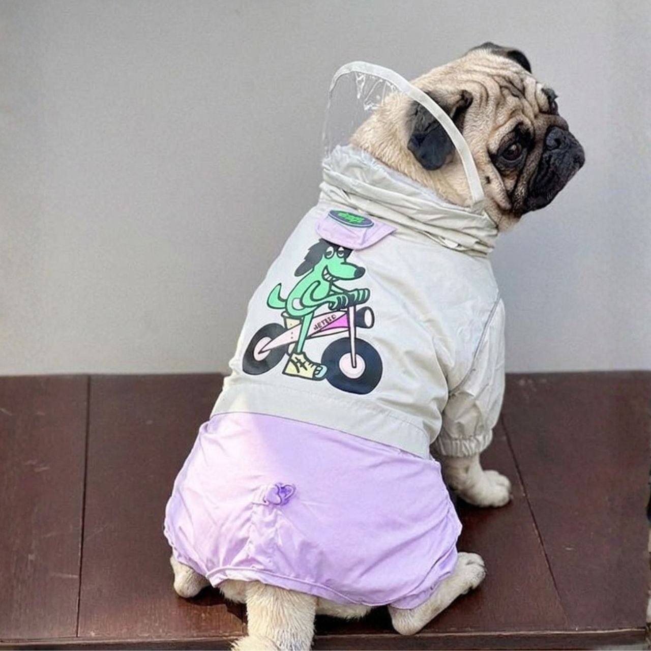 Dog wear -the wolf- r-dogw-290 | Pug shower - パグシャワー パグ