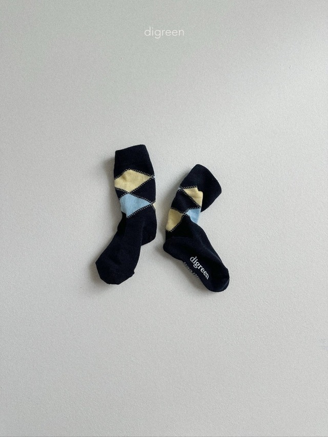 《予約》digreen ¨ argyle socks ¨ 26summer