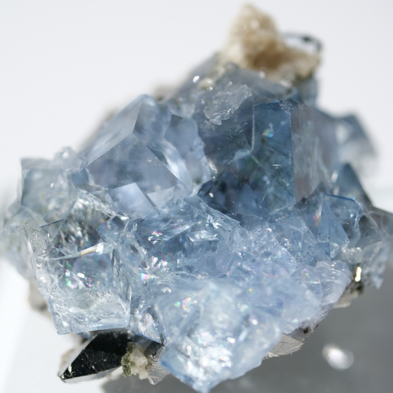 ヤオガンシャン産 フローライト 共生 / 原石 標本