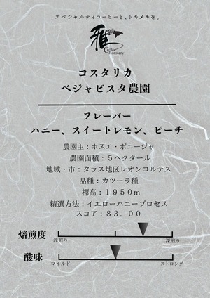 【豆】200g／コスタリカ／ベジャビスタ農園／中深煎り　【クリックポスト発送】