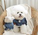 即納【COZY N】Denim Frill Harness《2color》