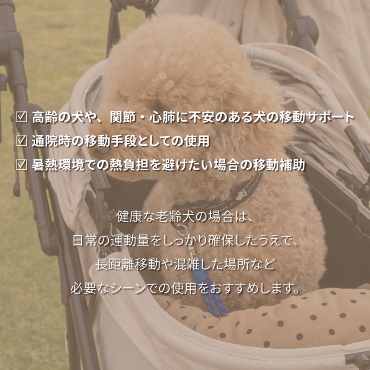 【今だけ10%OFF】獣医師推奨【2025年新製品】★本体のみ★SwiftCart 一体型用 ペットカート ペットバギー 折りたたみ 多頭対応 ワンタッチ折りたたみ 458081666