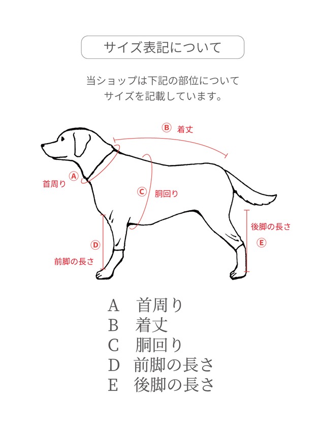 バックフリルワンピース