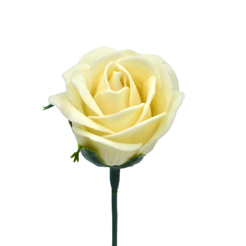 ジャナバラMJ-I2 アイボリー (15輪入りor25輪入り)