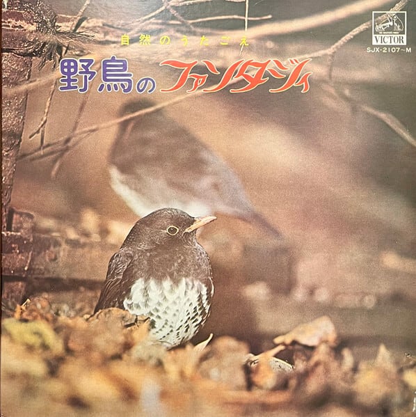 Ferocious X″SER UT SOM DJAVULEN″ (LP) | catnoise(おんがくいぬとねこ)