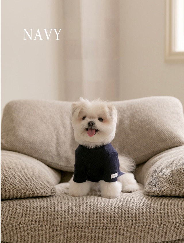 【TODLEY】New turtleneck(NAVY)