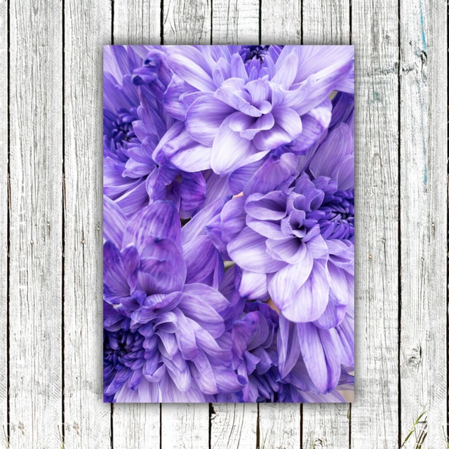 Purple dahlia flower【アートポスター専門店 Aroma of Paris】[SD-000709]