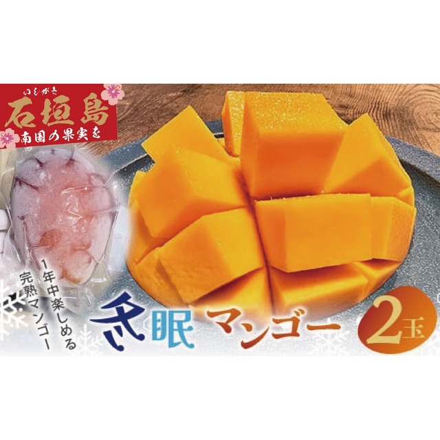 《送料無料》《7月下旬以降発送》最高糖度20度！？ 完熟！3Lサイズ　石垣島産冬眠マンゴー　約800g