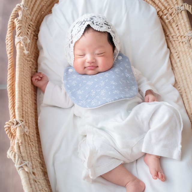 かえっこスタイ（ simple grass ）/ ハンドメイド bib よだれかけ ビブ 韓国 韓国生地