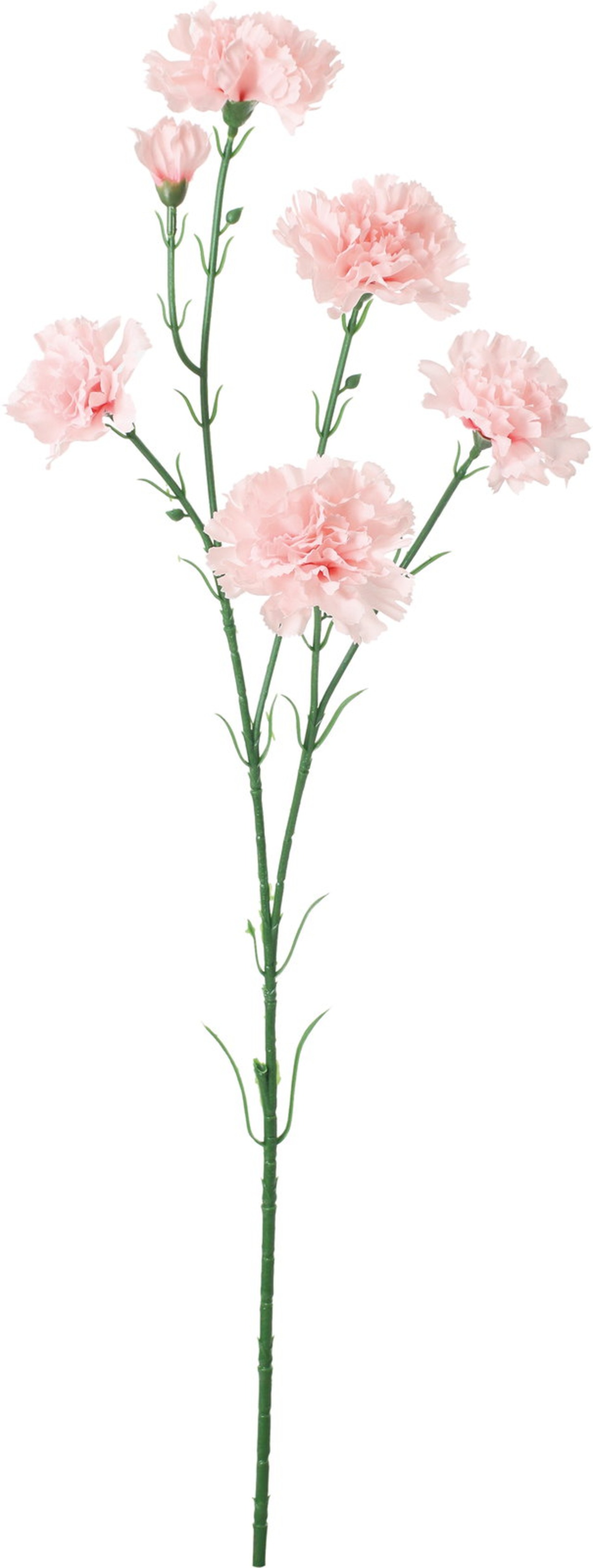 アンナカーネーション　FA-7437 P　4961823121838
