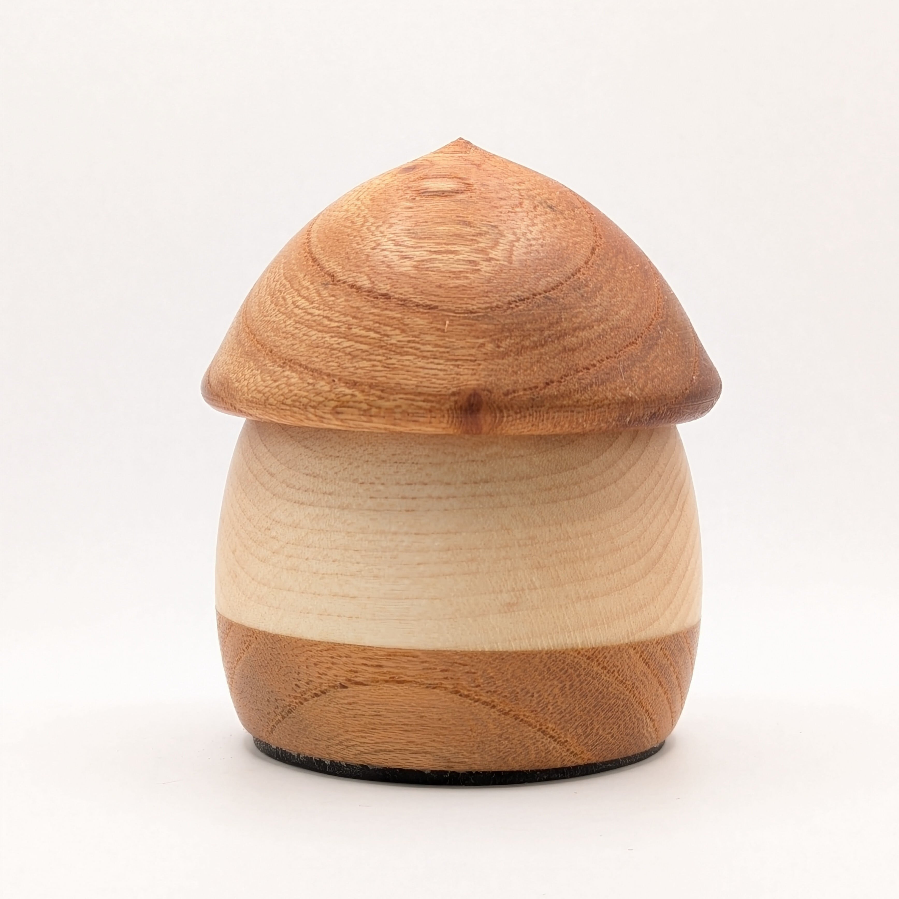 ふるさとどんぐり・川口の木（ケヤキ#001） | こまむぐ |公式通販