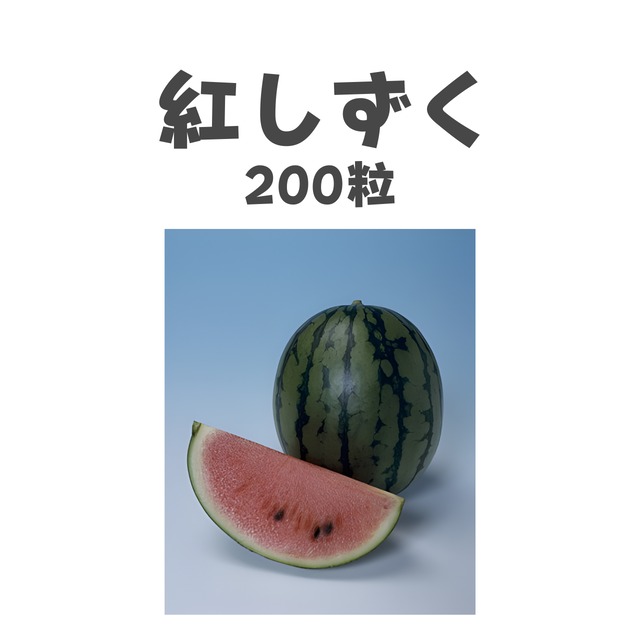 紅しずく　スイカ種子・200粒