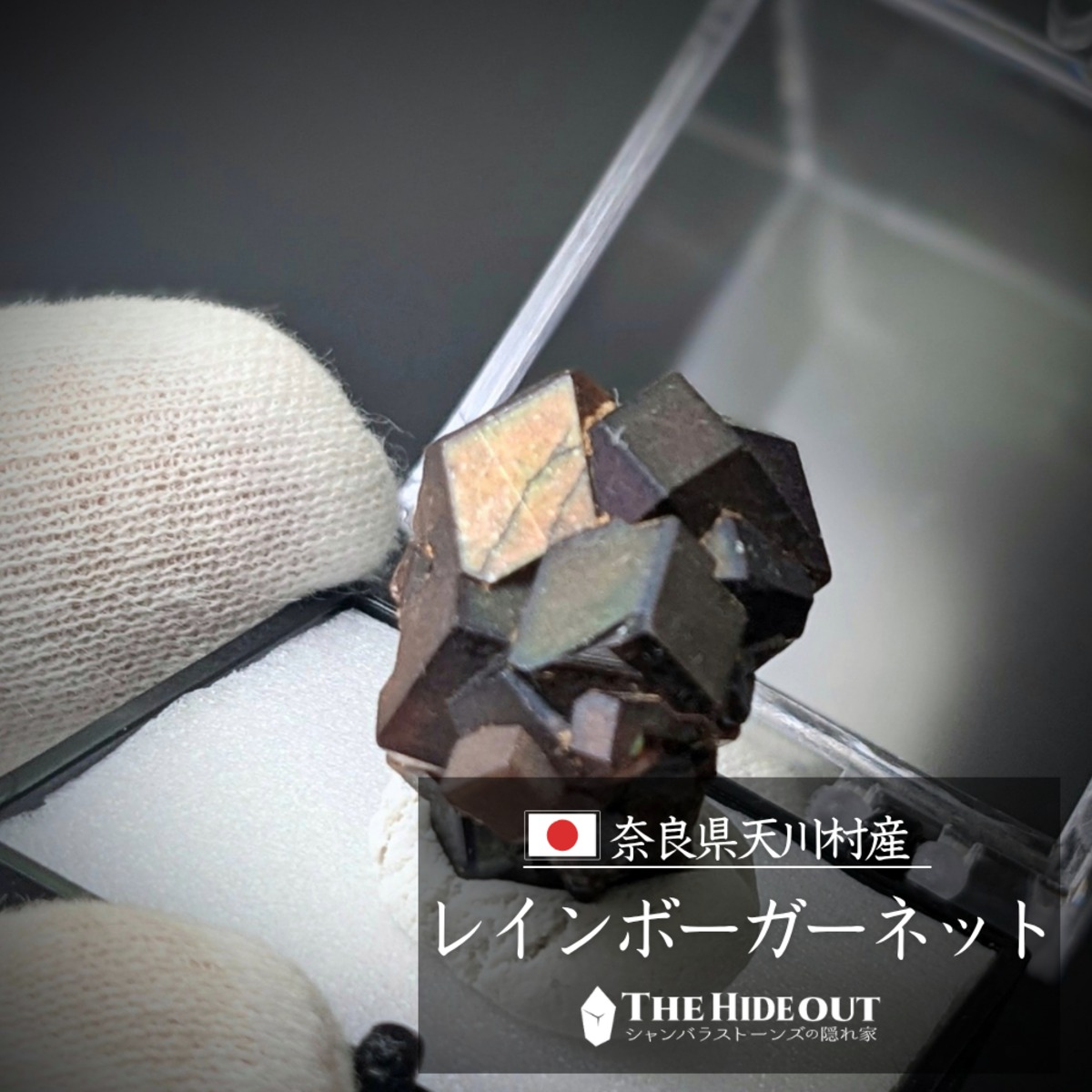 日本国産鉱物標本071 奈良県吉野郡天川村行者還岳レインボーガーネット