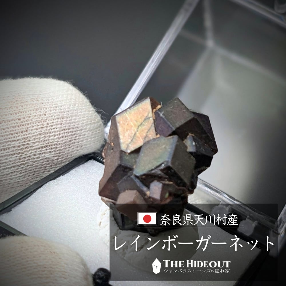 日本国産鉱物標本071 奈良県吉野郡天川村行者還岳レインボーガーネット 形状美クラスター