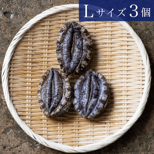 三陸産天然活アワビLサイズ 3個（約500g）