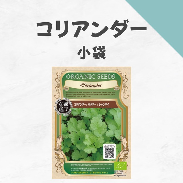 コリアンダー　有機種子・小袋