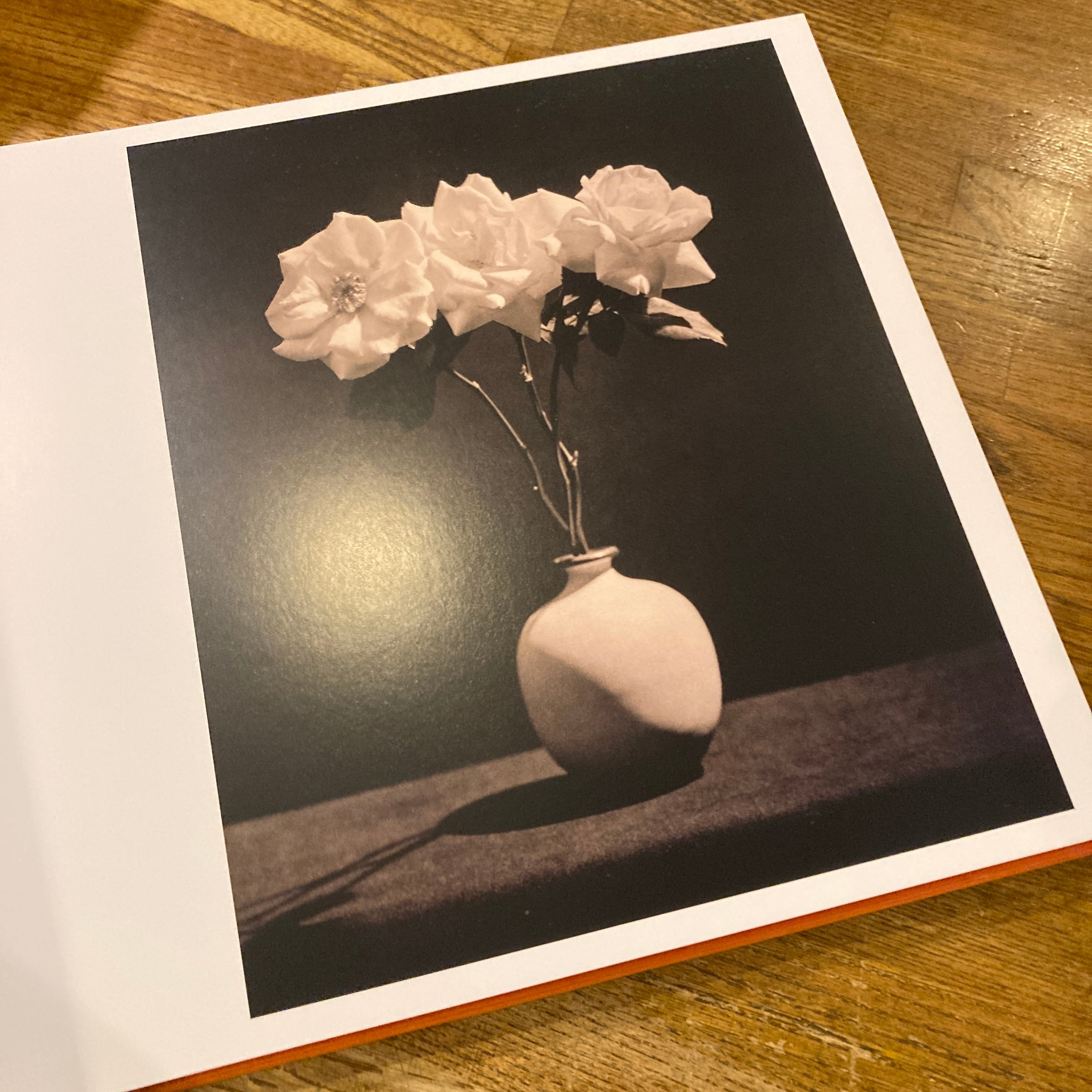 Mapplethorpe: The Complete Flowers / Robert Mapplethorpe（ロバート