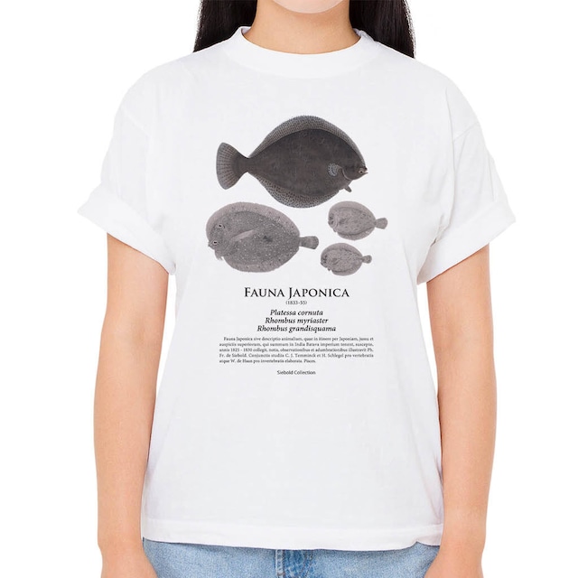 【メイタガレイ・ダルマガレイ】シーボルトコレクション魚譜Tシャツ（高解像・昇華プリント）