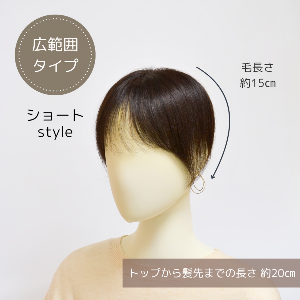 【試着・返品OK】人毛100% 毛量控えめタイプ 広範囲カバーウィッグ ショートヘア トップピース 自然な仕上がり 薄毛カバー【12×16cm】|軽やかタイプ - 12