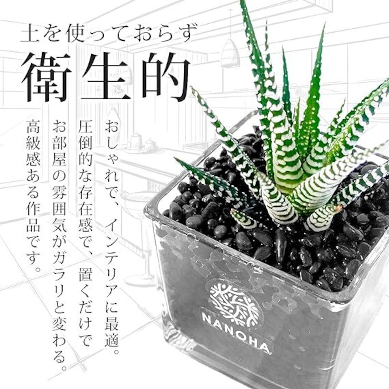 Gravel Plants 十二の巻黒砂利スクエアガラス　