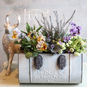 球根寄せ植え　バッグの中に春のお花いっぱい寄せ植え　届いてすぐ玄関に飾れる 　プレゼントにもオススメ　