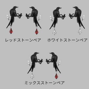 カラスが見つけた星屑のイヤーカフ E00637