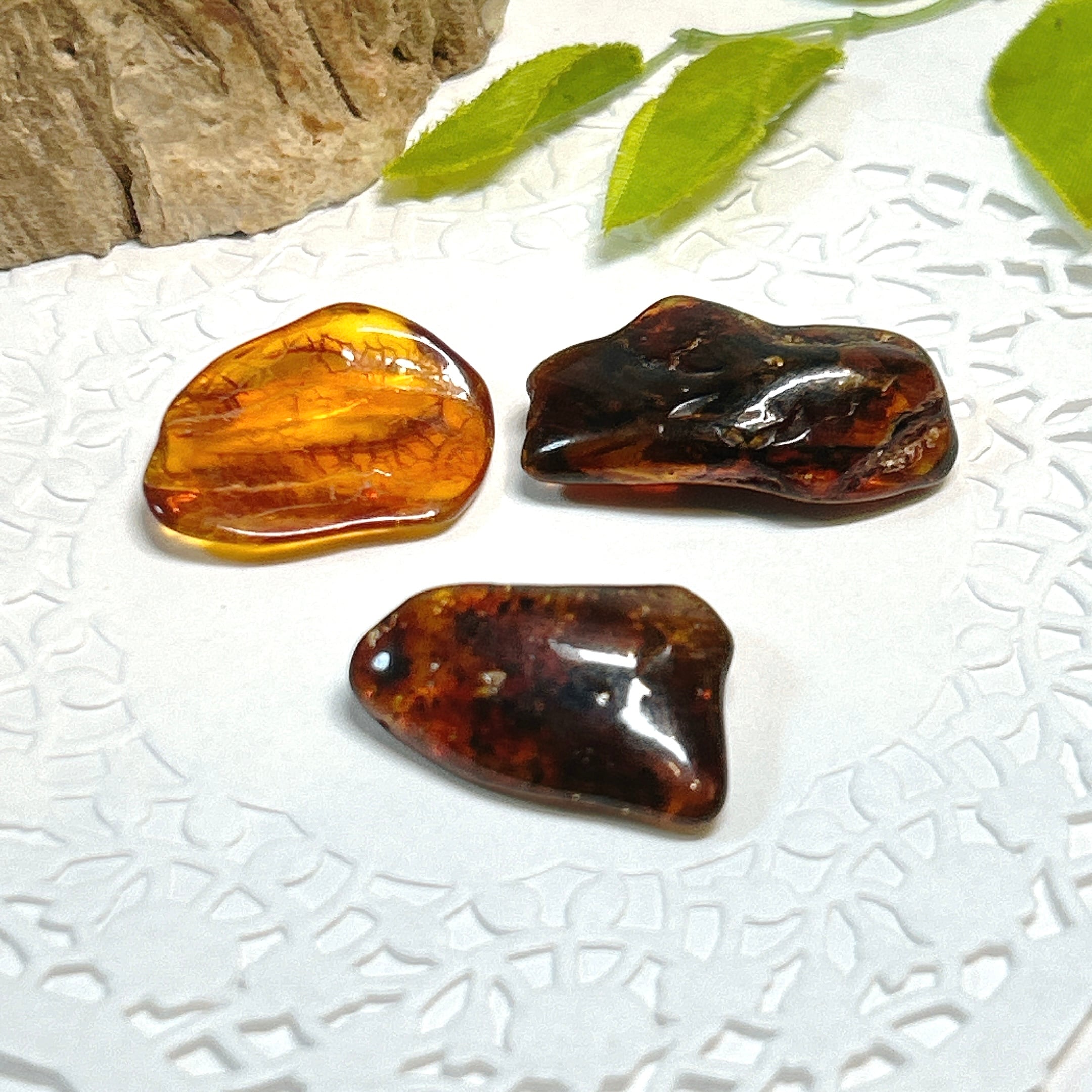 化石]琥珀・アンバー | クリスタル・ワールド御徒町店