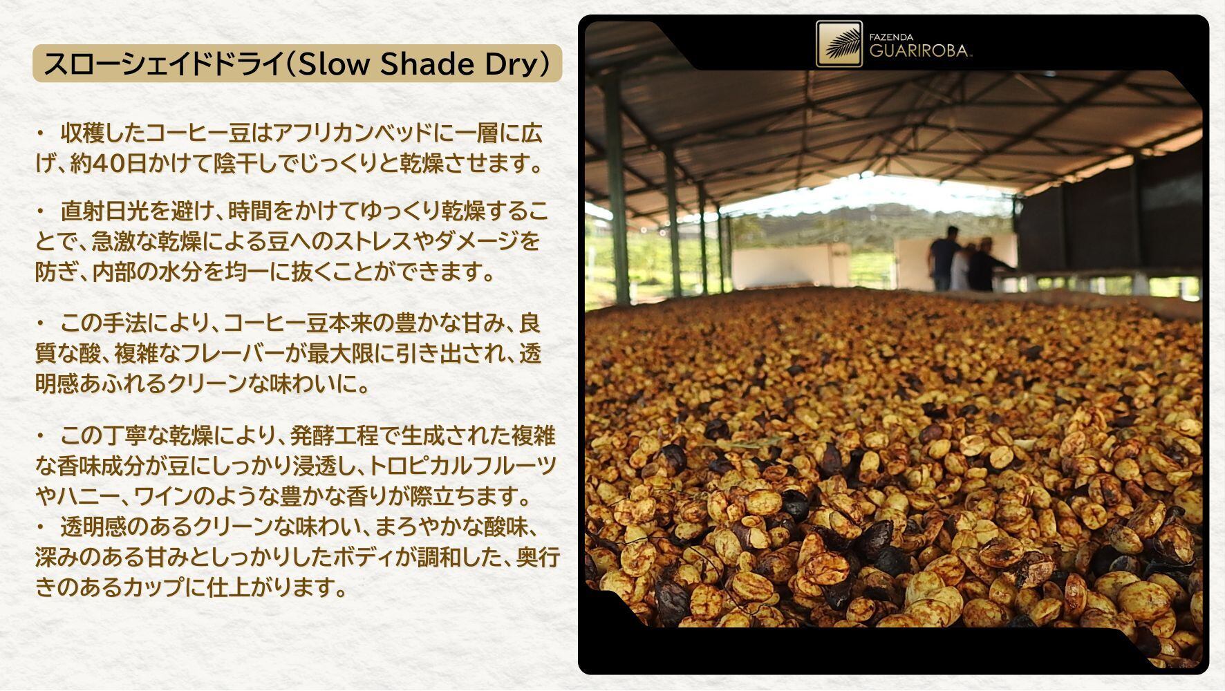200g」Brazil - Fazenda Guariroba Topazio Citrus Double Anaerobic