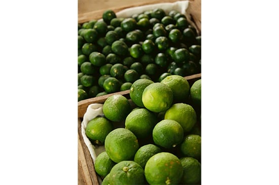 グリーンシトラスセット