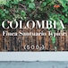 【５００ｇ】 コロンビア サントゥアリオ ティピカ / COLOMBIA Santuario Typica 【中煎り or 中深煎り】