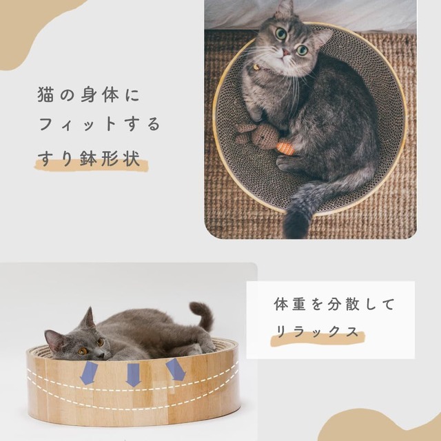 猫壱(necoichi)バリバリボウル ライトブラウン
