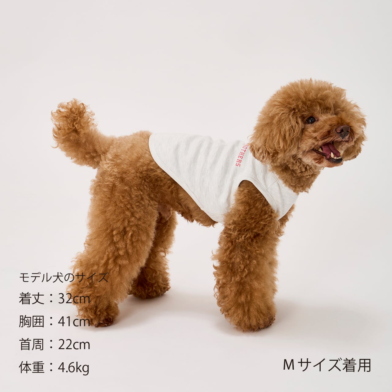 TENDER CARE T-SHIRT（M.MD.L） テンダーケアTシャツ | MANDARINE