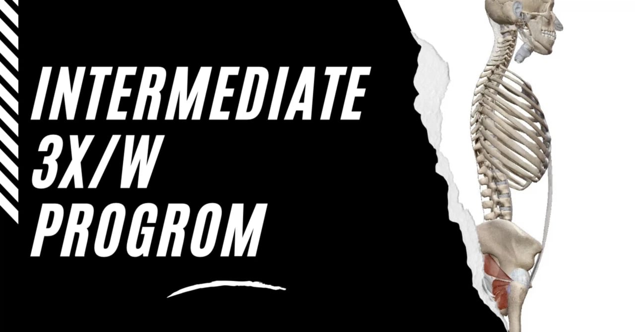 パワードラゴン プロニースリーブ | squatmania