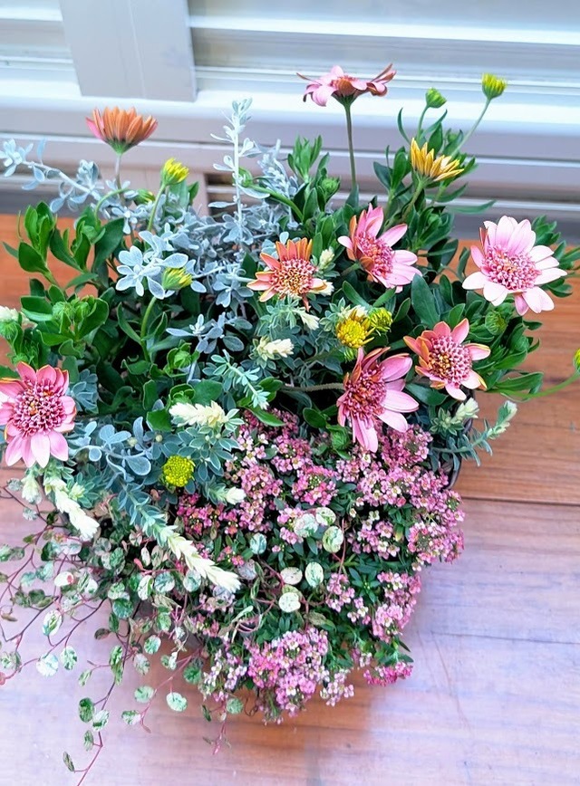 やさしい春色の寄せ植え ～桜子のバスケット～