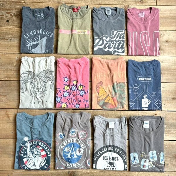 1点物◇USA製オレンジくすみフェード鳥バックプリントTシャツ古着