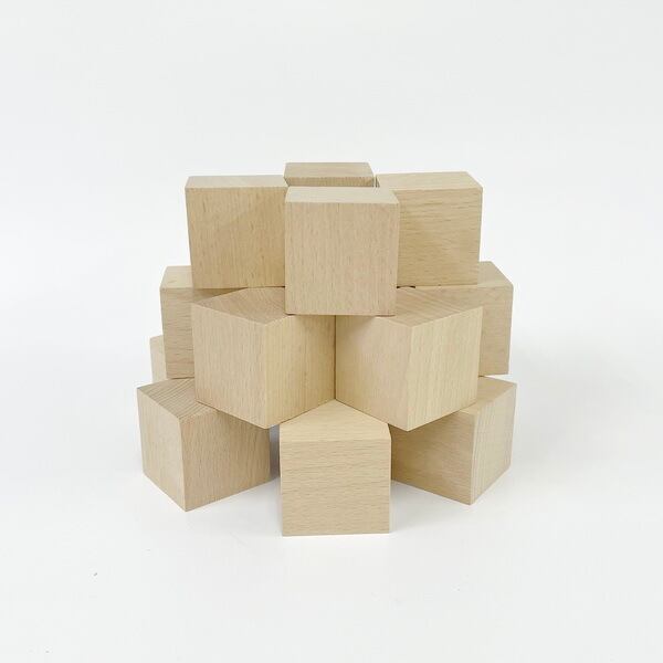 サイコロ積み木セット 16ピース お受験に ブナ 無垢 白木 4センチ基尺