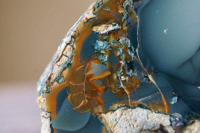 ブルーマウンテンジャスパー Jasper  ⑤