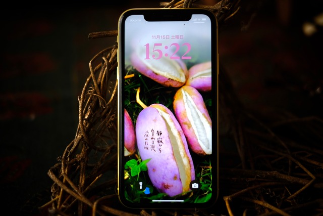 気守の窓「森のあけび - 静寂から生まれる光」｜スマートフォン壁紙｜Kimamori no Mado “Forest Akebi – Light Born from Silence”｜Smartphone Wallpaper