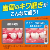 ピュオーラ36500ハブラシ １本１本磨き ふつう