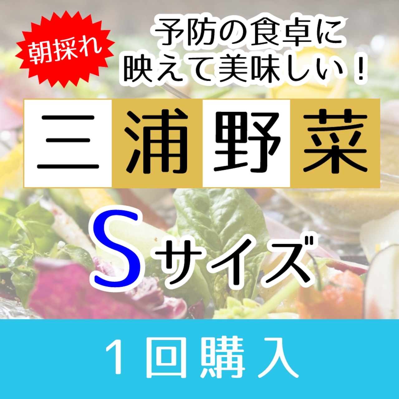 【Sサイズ】旬の朝採れ 三浦野菜